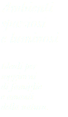 Ambienti spaziosi e luminosi Ideali per soggiorni di famiglie e amanti della natura.